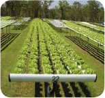water treatment services australia